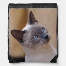 Siamese Cat Drawstring Bag