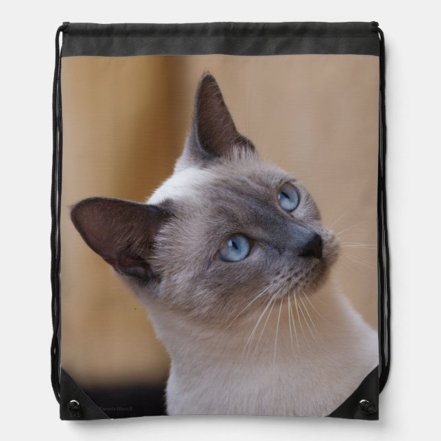 Siamese Cat Drawstring Bag (Front)