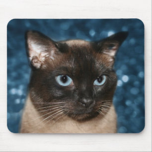 Siamese cat face mouse pad