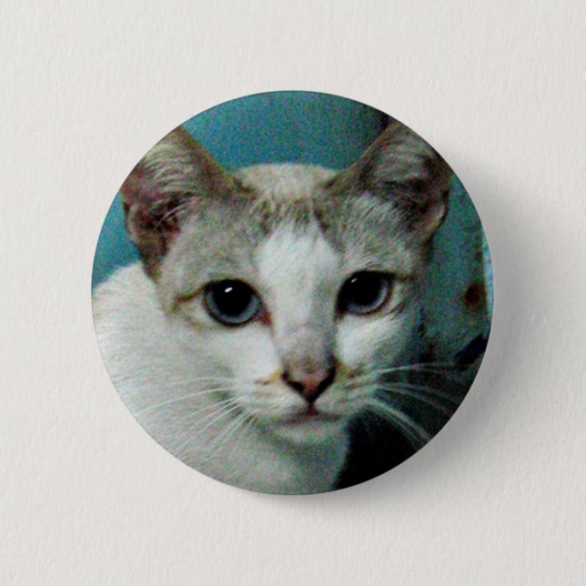 Siamese Cat Friend Button (Front)