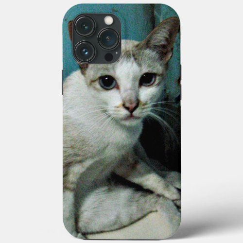 Siamese Cat Friend iPhone 13 Pro Max Case