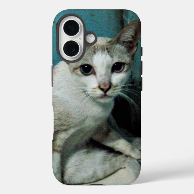 Siamese Cat Friend Case-Mate iPhone Case (Back)