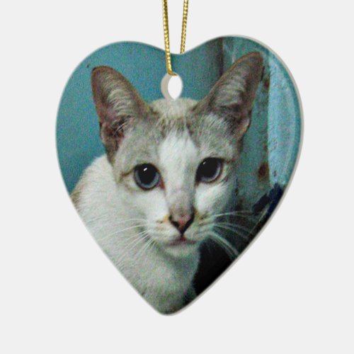 Siamese Cat Friend Ceramic Ornament