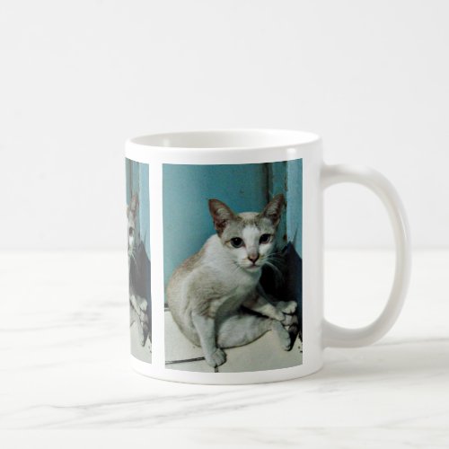 Siamese Cat Friend Coffee Mug