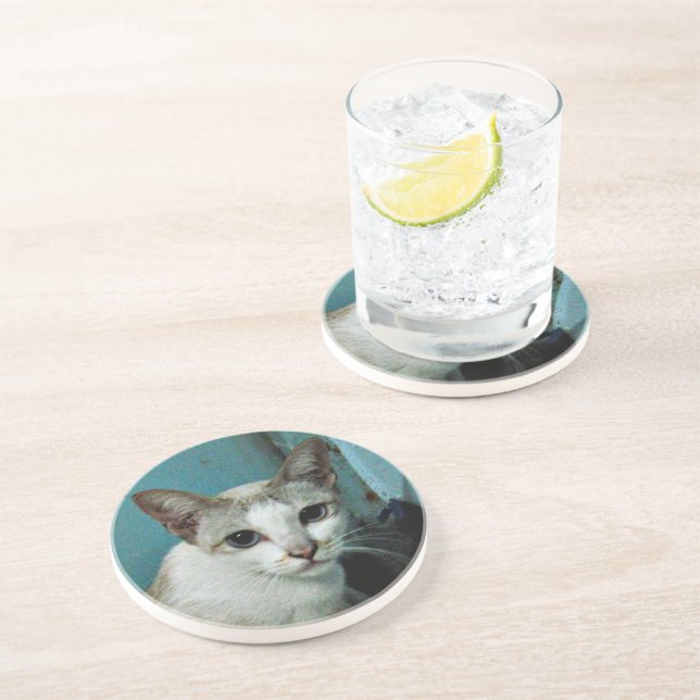 Siamese Cat Friend Drink Coaster (Side)