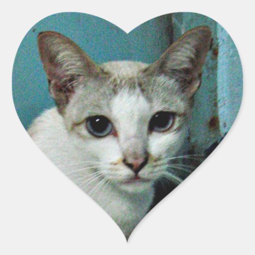 Siamese Cat Friend Heart Sticker