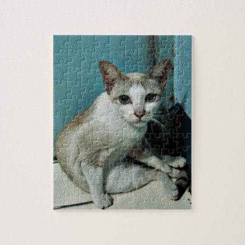 Siamese Cat Friend Jigsaw Puzzle