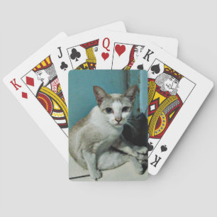 Siamese Cat Friend Poker Cards