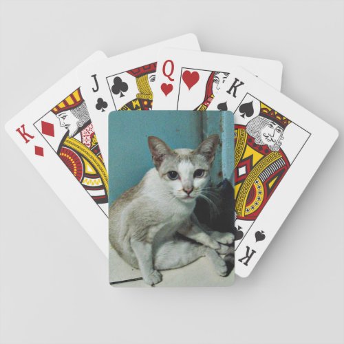 Siamese Cat Friend Poker Cards