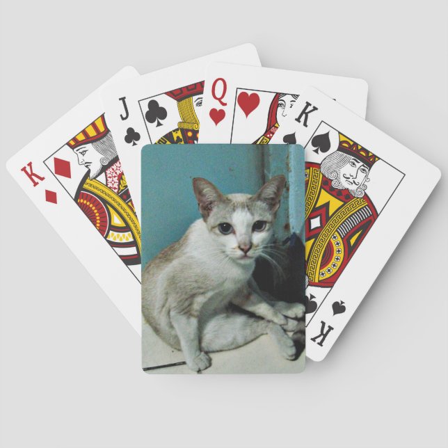 Siamese Cat Friend Poker Cards (Back)