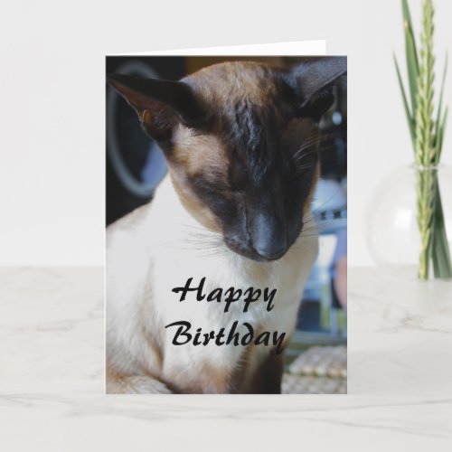 Siamese Cat Happy Birthday Card