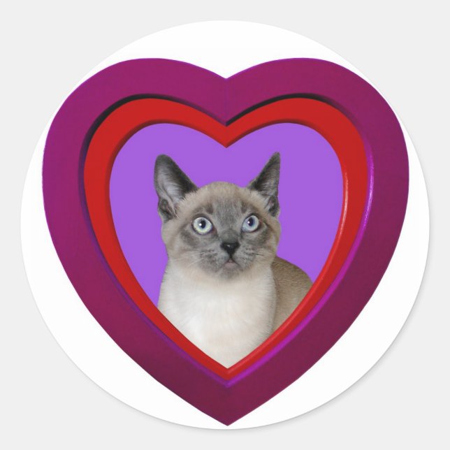 Siamese Cat Heart Sticker (Front)