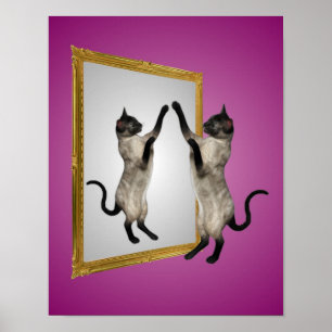 Siamese Cat In A Mirror Animal Art Poster