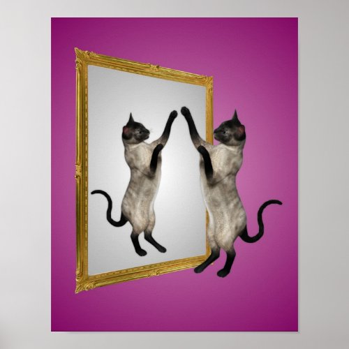 Siamese Cat In A Mirror Animal Poster