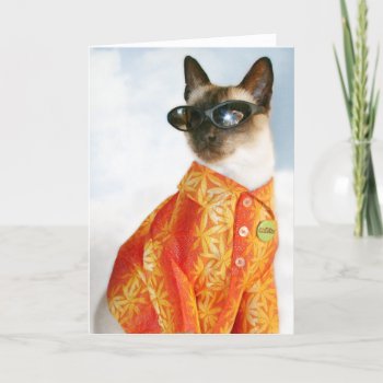 Siamese Cat In Shades Card by knichols1109 at Zazzle