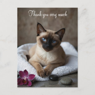 Siamese Cat in Spa Thank you Postcard