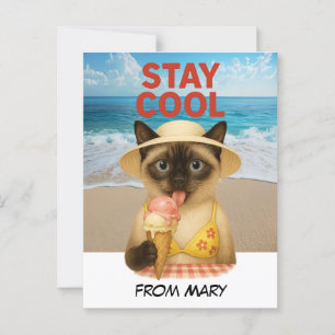 Siamese Cat is licking ice cream stay cool Postcard
