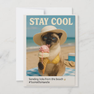 Siamese Cat is licking ice cream stay cool Postcard