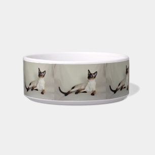 Siamese Cat Jazell Cat Bowl Dish