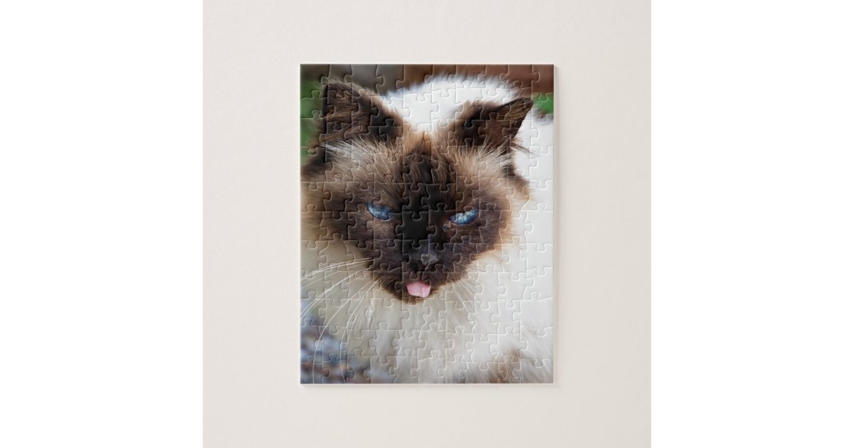 siamese cat jigsaw puzzle