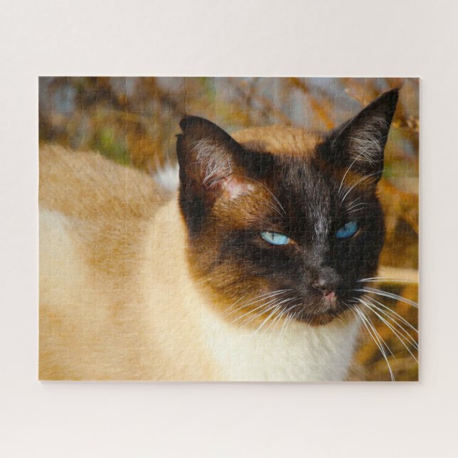 Siamese Cat . Jigsaw Puzzle (Horizontal)