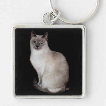Siamese Cat Keychain by MaggieRossCats at Zazzle