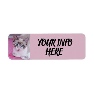 SIAMESE CAT KITTEN RETURN ADDRESS LABELS