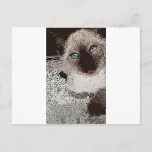 Siamese cat kitty pet animal friend family art postcard