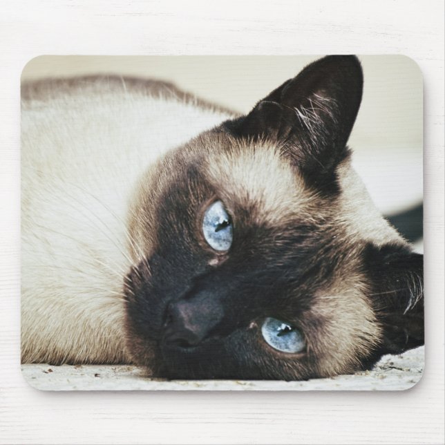 Siamese Cat Mouse Pad (Front)