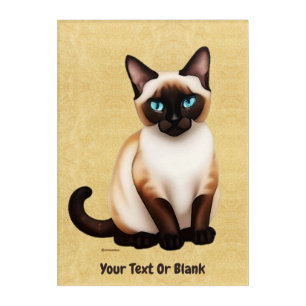Siamese Cat On Old Paper Acrylic Print