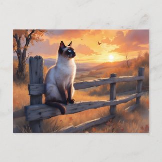 Siamese cat on split rail fence