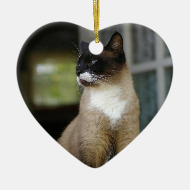 Siamese Cat on the Porch Ceramic Ornament (Front)