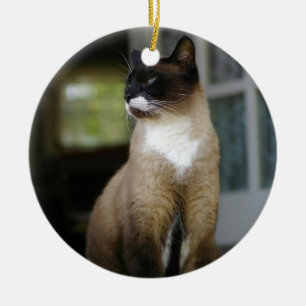 Siamese Cat on the Porch Ceramic Ornament