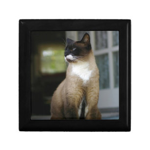 Siamese Cat on the Porch Gift Box