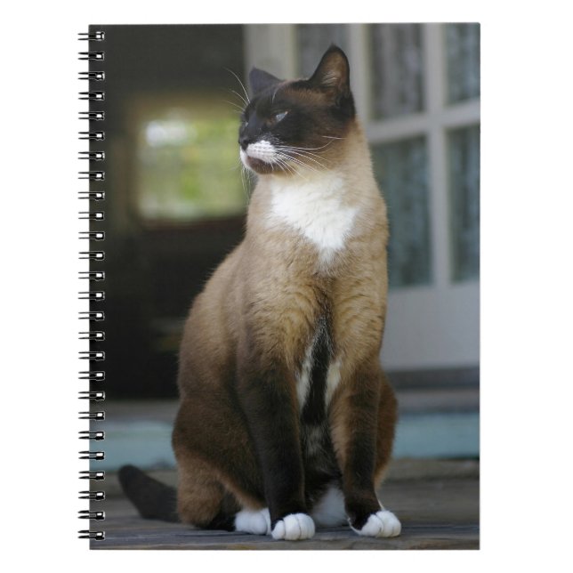Siamese Cat on the Porch Notebook (Front)