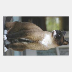 Siamese Cat on the Porch Rectangular Sticker