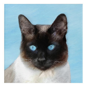 Siamese Cat Painting - Cute Original Cat Art