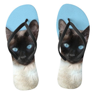 Siamese Cat Shoes | Zazzle