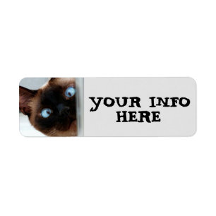 SIAMESE CAT PEEKING RETURN ADDRESS LABELS