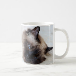Siamese Cat Pet Mug Coffee Mug Cup