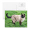 Siamese Cat Pet Purr Meow Kitty Destiny Art
