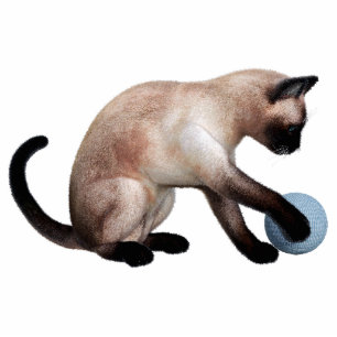 Siamese Cat Photo Sculpture