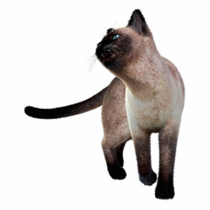 Siamese Cat Photo Sculpture