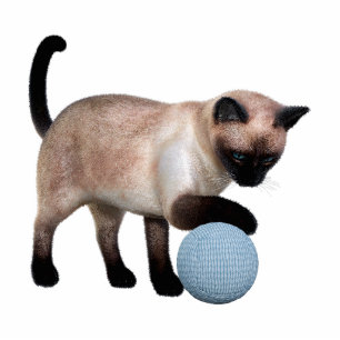 Siamese Cat Photo Sculpture
