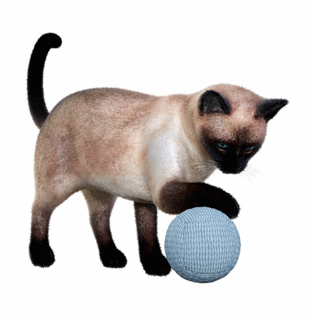 Siamese Cat Photo Sculpture (Front)