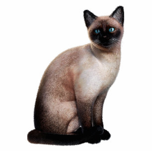 Siamese Cat Photo Sculpture