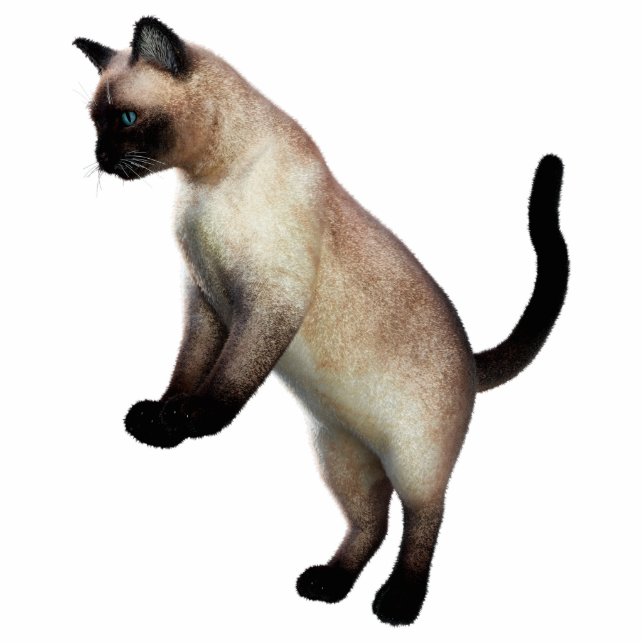Siamese Cat Photo Sculpture (Front)