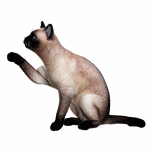 Siamese Cat Photo Sculpture