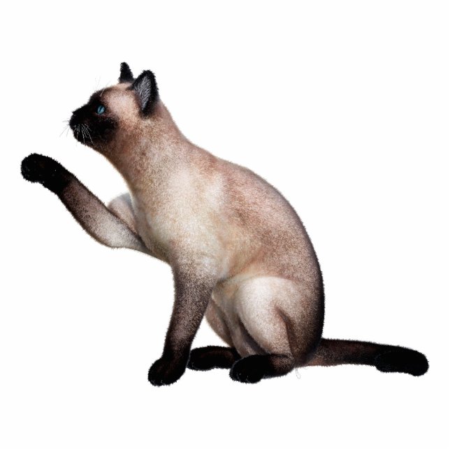 Siamese Cat Photo Sculpture (Front)