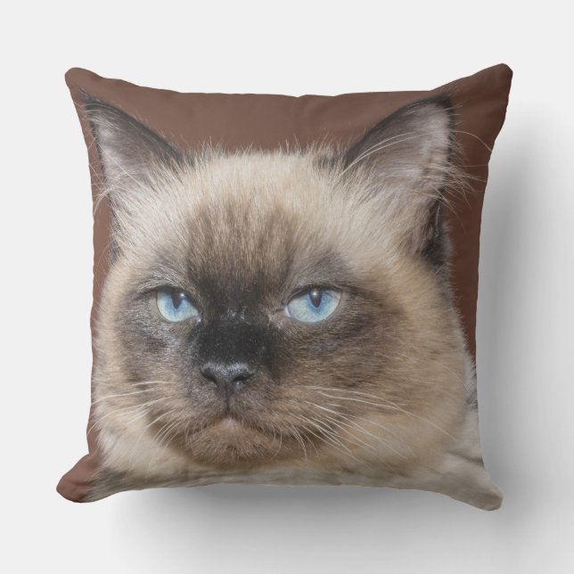 Siamese cat pillow (Front)